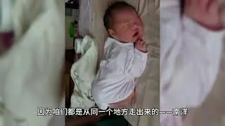 中国和新加坡的华人到底有啥相似之处