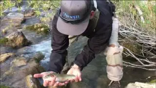 Fly fishing: How to fly fish tiny creeks