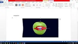 Class 10 | Insert Menu | Shape | Microsoft Word Bangla Tutorial | মাইক্রোসফ্ট ওয়ার্ড