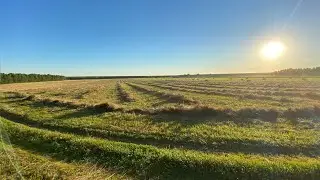 Один день из жизни