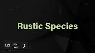 Episode One | Materials- Rustic Species