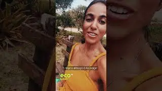 Dicas para uma cidade mais sustentável - 