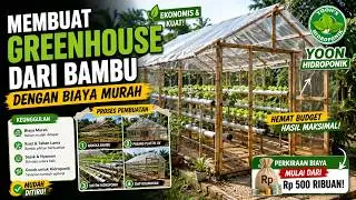 Making a greenhouse from bamboo at low cost