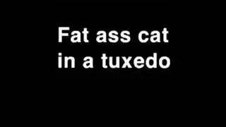 fat ass cat in a tuxedo