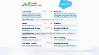 RapidiOnline: Salesforce.com | Microsoft Dynamics NAV Cloud Integration