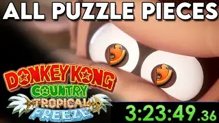 [Former WR] All Puzzle Pieces Speedrun in 3:23:49
