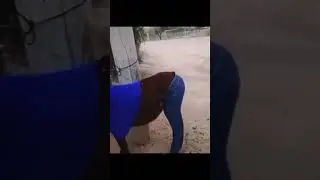 ПРИКОЛЫ ДЕКАБРЯ!СВЕЖАК!