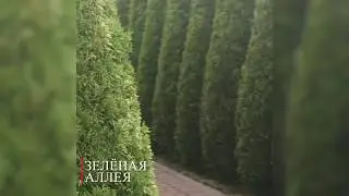 ПДК "Южный": Сады и рекреационные зоны при питомнике растений и садовом центре