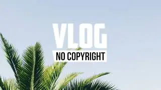 Pierse -  Miss You (Vlog No Copyright Music)