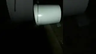Охота на мышей