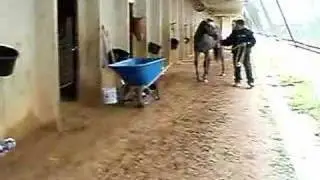 Gait Abnormality