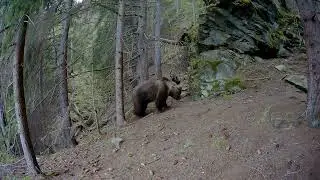 Máj na fotopasci  - veľký G.2
