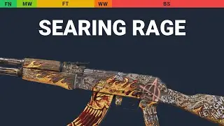 AK-47 Searing Rage - Skin Float And Wear Preview