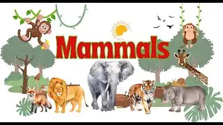 MAMMALS vocabulary for Kids to Learn | Learning Mammals for Kindergarten, School, Children