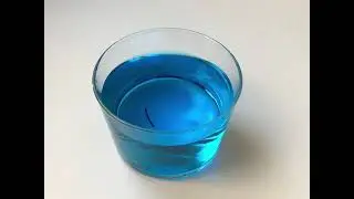 The fishbowl