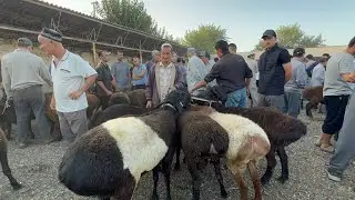 ШАНБЕБОЗОРИ РЕГАР НАРХИ ГОВ ГУСФАНД НАРХО ХЕЛО ХУБ 24 августа 2024 г.