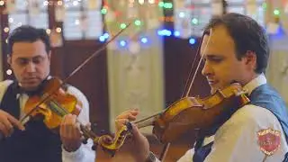 Photograph - Ed Sheeran by The Avalon Violinos