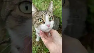 КУДА УБЕЖАЛА МЯТА?!😭