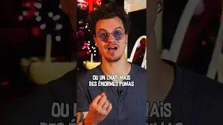 Il échappe de peu à un destin funeste !