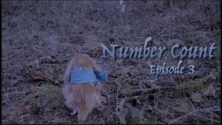 Number Count Episode 3 : A Webkinz Series