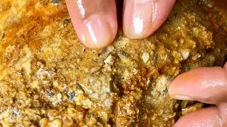 WOWW,. AMAZING GOLD DISCOVERY, GOLD PROSPECTING, GOLD RUSH, TRADITIONAL GOLD PANNING