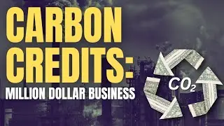 Carbon Credits: A Million Dollar Business?! // Business Case Study // ReadOn Daily