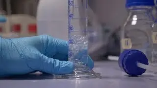 AS Researchers discover a bacterium able to remove heavy metal from wastewater