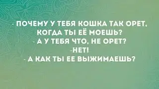 Дальнобой от А до Я 1 Серия