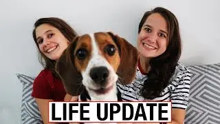 Lesbian travel couple Life update, Brazil and our Puppy
