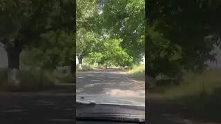 Ореховый тоннель 