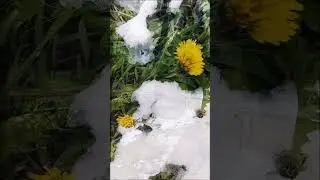 9 МАЯ в Москве. С ДНЕМ ПОБЕДЫ🙏