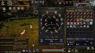 Black Desert. Во что одеться Новичку.Что в первую очередь купить и так далее.