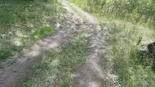 Прогулка на велосипеде по посёлку.