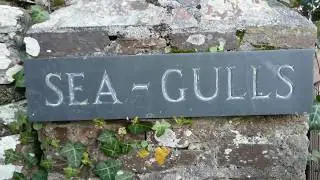 Seagulls - Self catering holiday home in St Mawes, Cornwall