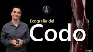 ECOGRAFÍA DEL CODO  CARA ANTERIOR  HUESOS Y ARTICULACIONES