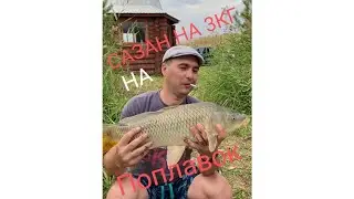 Мощный сазан на удочку!6 сентября 2022 г.