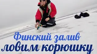 Ловим корюшку на Финском заливе 2024