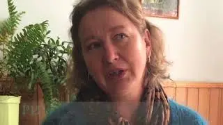 відгуки дітей, вчителів та директорів шкіл