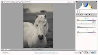 Using sepia and split tone effects - Adobe Photoshop Essential