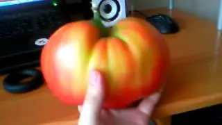 Вот это помидор!!!