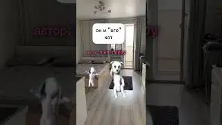 брат приехал с университета💥💥 