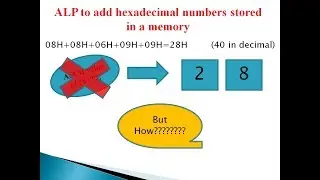Assembly Language Program | Addition of Numbers | 80386| Array Addition| first Program