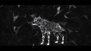 After Effects Animation   Showcase 1