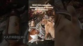 Значит я стараюсь а они 🙃 #магия #эзотерика #духовноеразвитие #духовность