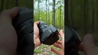 Canon EOS 250D + EF 85mm f/1.8 USM - Forest Portrait Photography