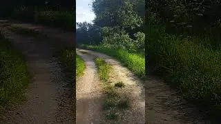 УЖИК🐍🐍🐍