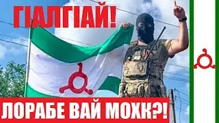 #ИНГУШИ