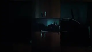 14 августа 2024 г.