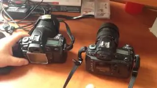 Обзор-сравнение Nikon D70 и Nikon D80