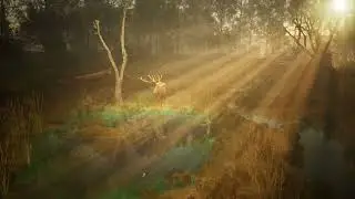 DeerProject God Rays in Unreal Engine 5.1